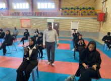 برگزاری دوره داوری درجه ۲ و ۳ ووشو به میزبانی مشهد مقدس